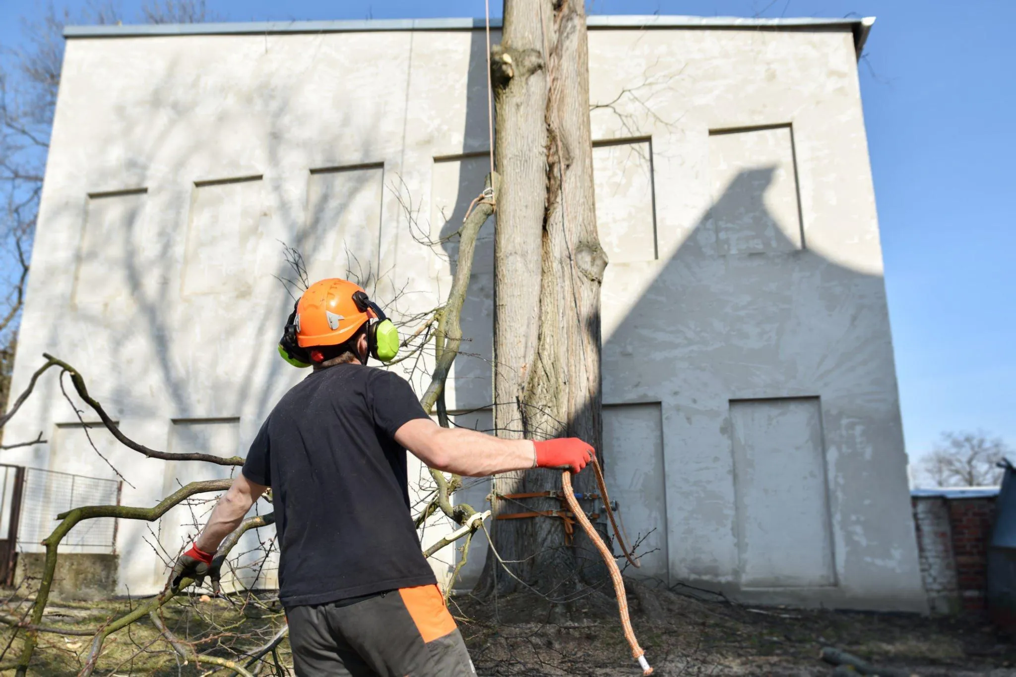 Commercial Tree Services
