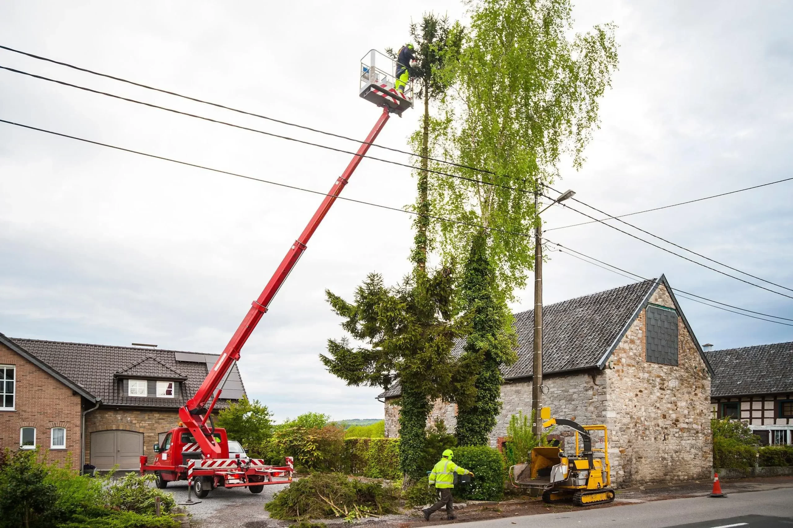 Commercial Tree Services In Yuba City