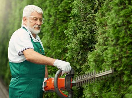 Tree & Shrub Care