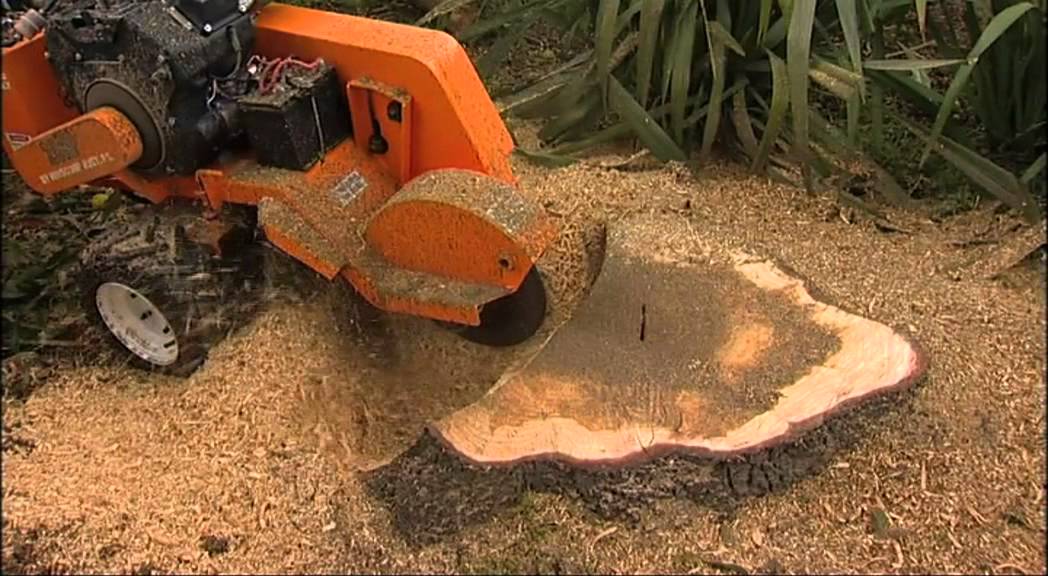 Tree Stump Grinding